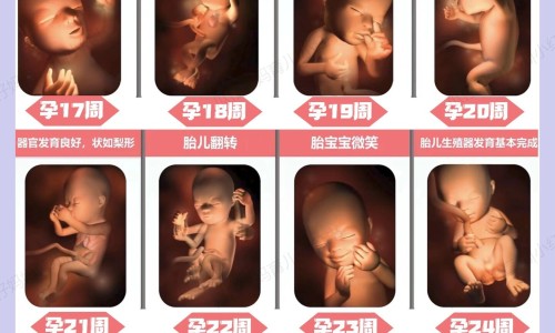 肾脏不好有哪些表现和症状专区_肾脏不好怎么治疗专区_肾脏不好使用的抗生素网