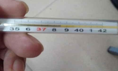 肾脏不好怎么治疗-肾脏不好有哪些表现和症状专区_肾脏不好怎么治疗专区_肾脏不好使用的抗生素网