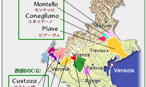 肾脏不好有哪些表现和症状-肾脏不好有哪些表现和症状专区_肾脏不好怎么治疗专区_肾脏不好使用的抗生素网